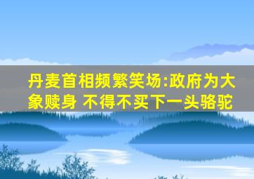 丹麦首相频繁笑场:政府为大象赎身 不得不买下一头骆驼